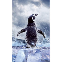 Kuvatapetti Dimex Penguin, 150x250cm