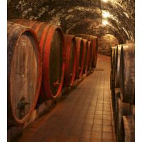Kuvatapetti Dimex Wine Barrels, 225x250cm