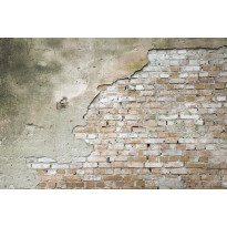 Kuvatapetti Dimex Grunge Wall, 375x250cm