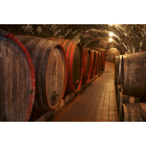 Kuvatapetti Dimex Wine Barrels, 375x250cm