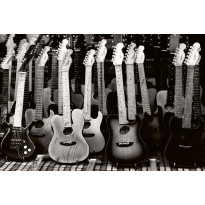 Kuvatapetti Dimex Guitars Collection, 375x250cm