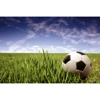 Kuvatapetti Dimex Soccer Ball, 375x250cm