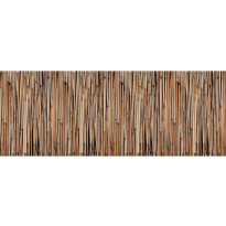 Valokuvatapetti Quattro Bamboo 8-osainen 372x280cm
