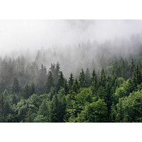 Kuvatapetti A.S. Creation Designwalls Digital, Foggy Fir Trees, 350x255cm, vihreä