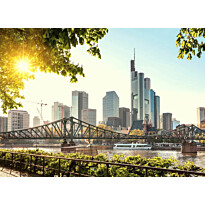 Kuvatapetti A.S. Creation Designwalls Frankfurt City, 350x255cm, harmaa