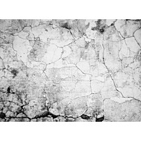 Kuvatapetti A.S. Creation Designwalls Cement Crack, 350x255cm, harmaa