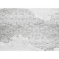 Kuvatapetti A.S. Creation Designwalls Old Brick Wall, 350x255cm, harmaa