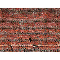 Kuvatapetti A.S. Creation Designwalls Brick Red, 350x255cm, punainen