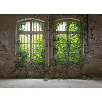 Kuvatapetti A.S. Creation Designwalls Old Window, 350x255cm