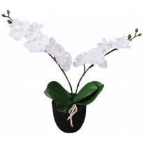 Tekokukka ruukulla orkidea 30 cm valkoinen