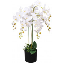 Tekokukka ruukulla orkidea 75 cm valkoinen