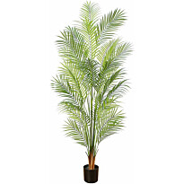 Tekokasvi Lykke Areca Palm, 150cm