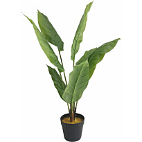 Tekokasvi Lykke Peace Lily, 105cm