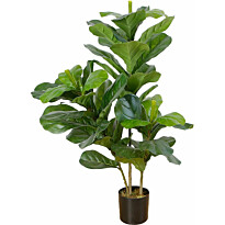 Tekokasvi Lykke Fiddle-Leaf Fig, 85cm