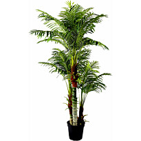 Tekokasvi Lykke Areca Palm, 180cm