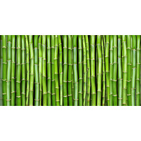 Kuvatapetti Rebel Walls Bamboo, non-woven, mittatilaus